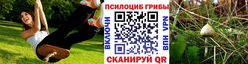площадка клад  Демидов  Псилоцибиновые грибы Magic Shrooms 